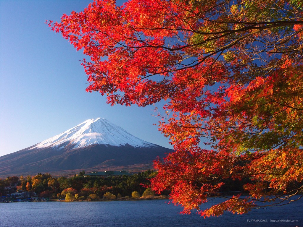 河口湖からの紅葉と富士山
