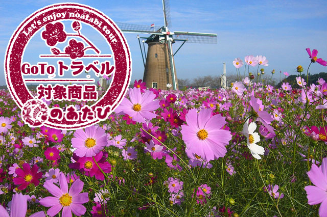 saura_GOTO